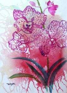 Pink Orchid by Tan Teng Poh