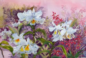 A Harmony of Orchids by Lim Sock Hoon