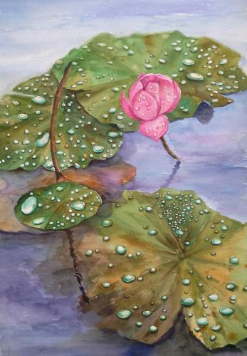 15.1 Lotus in the Rain by Tan Ann Soon $880