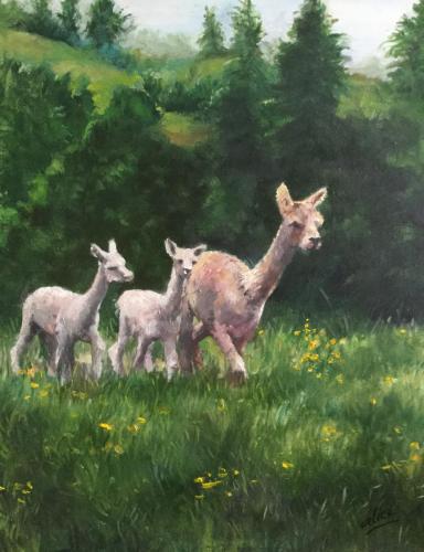 17.2 THE ALPACAS by Alice Lee $1500