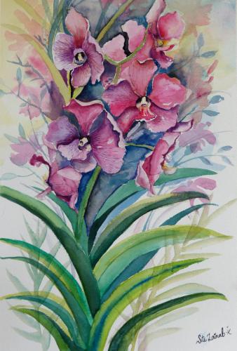 22.1 Orchids by Siti Zainab Binte Komari