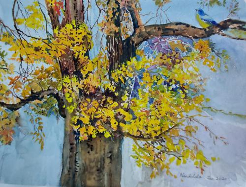 6.2 The Ghinko tree by Lalitha Perera
